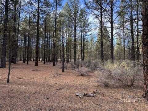 Lot 12 Buckhorn Lane, Chiloquin, OR 97624