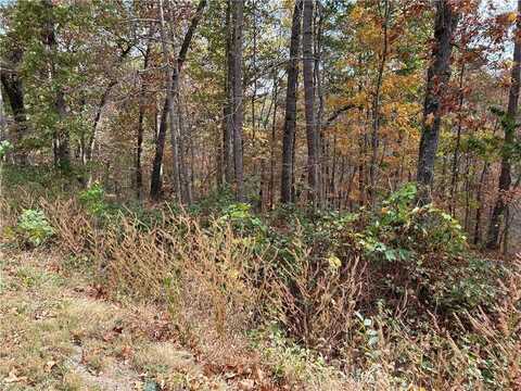 lot 20 Blk2 Platz LN, Bella Vista, AR 72714