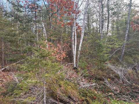 Lot 90 Laurelhill Circle, Presque Isle, MI 49777