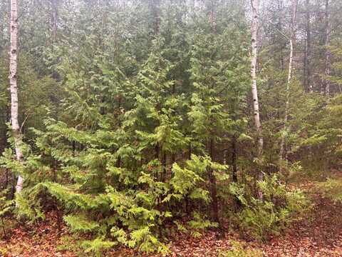 Lot 231 Sunaqua Drive, Presque Isle, MI 49777