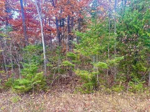 Lot 45 Pine Street, Presque Isle, MI 49777