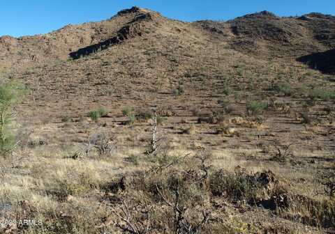 '009' J N Elephant Butte Road, Queen Valley, AZ 85118