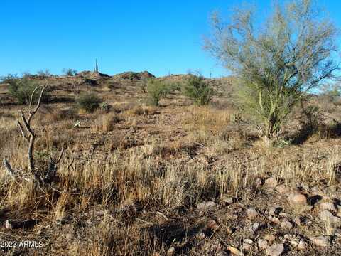 '009' F N Elephant Butte Road, Queen Valley, AZ 85118