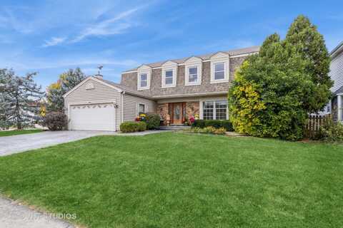 2216 ROMM Court, Schaumburg, IL 60194