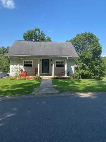 205 OLD CLINE ROAD, GHENT, WV 25843