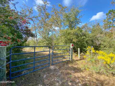 21332 NW Melvin New Grade Road, Altha, FL 32421