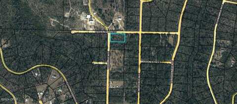 Lot 1 Wood Avenue, Alford, FL 32420