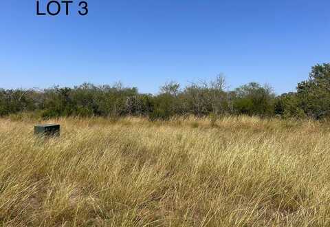 117 Paisano Trail, Beeville, TX 78102