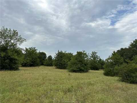 Tbd Ferrill Creek Road, Bryan, TX 77808