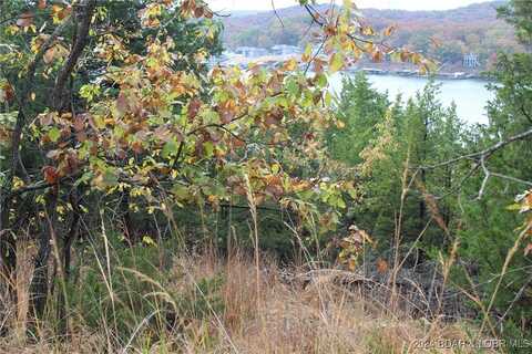 Lot 20 Lake Horizons Road, Gravois Mills, MO 65037