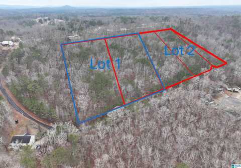 Lot 1 HENDERSON ROAD, ODENVILLE, AL 35120