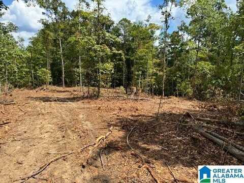 1950 COUNTY ROAD 59, ROANOKE, AL 36274