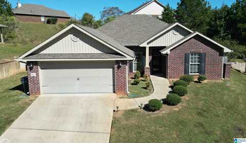 6813 OAKLAWN LANE, Mc Calla, AL 35111