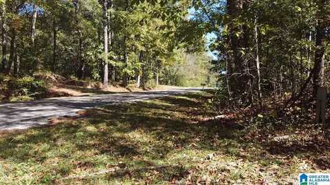 0 ODENS MILL ROAD, SYLACAUGA, AL 35151