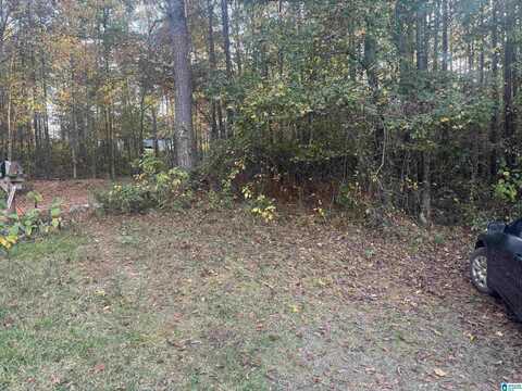 1163 COUNTY ROAD 439, VERBENA, AL 36091