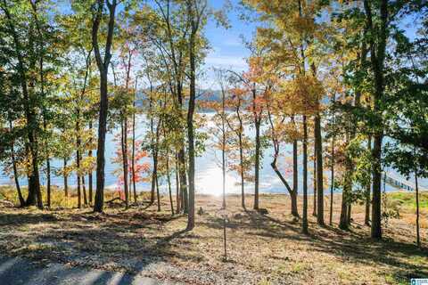 572 RESERVE DRIVE, GUNTERSVILLE, AL 35976