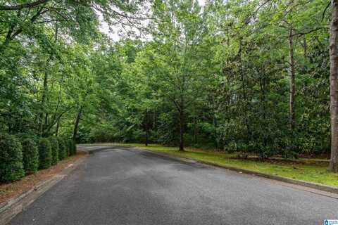 3405 BROOK MOUNTAIN LANE, MOUNTAIN BROOK, AL 35223