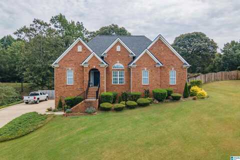 625 EMERALD TRACE, CHELSEA, AL 35043