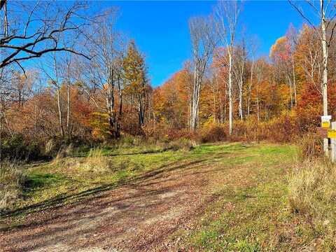 179 Texas Hill Road, Otselic, NY 13464