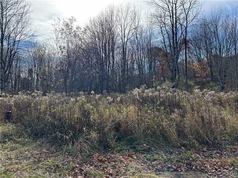 Lot A Corbine Road, Diana, NY 13648