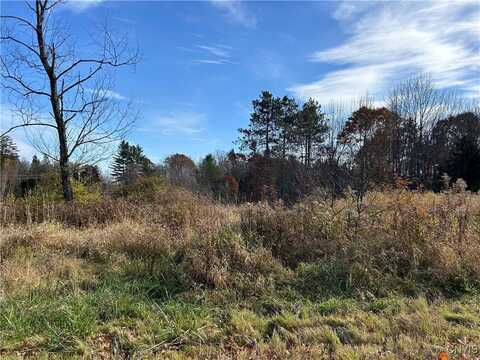 Lot B Corbine Road, Diana, NY 13648