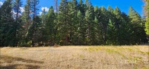 2971 13 Dips Rd, Hayfork, CA 96041