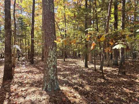 Lot 149 Grenada Circle, Fairfield Bay, AR 72088