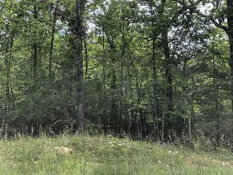 Algonquin Circle, Cherokee Village, AR 72529