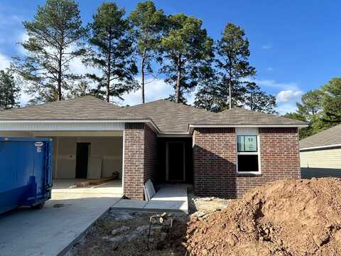 1350 Agogo Lane, Conway, AR 72034