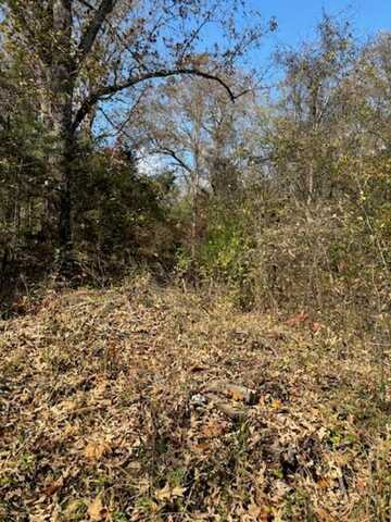 Lot 29 Walnut Cove, Hardy, AR 72542