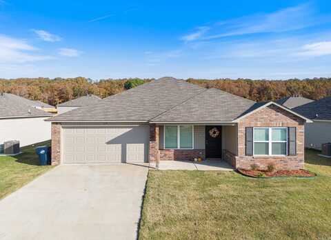 19 Curly Leaf Lane, Conway, AR 72032