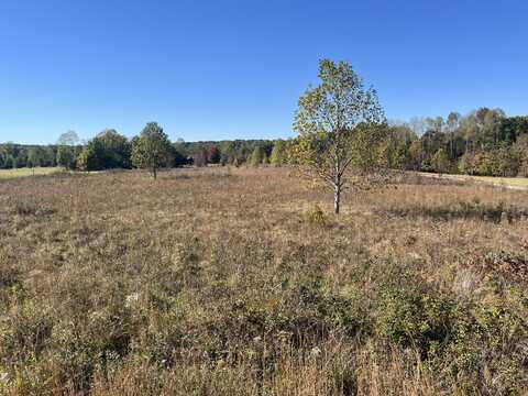 Lot 1 Wildcat Trail, Dayton, TN 37321