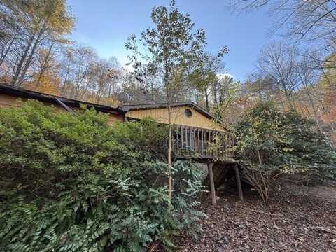 1290 Big Creek Road, Cherry Log, GA 30522