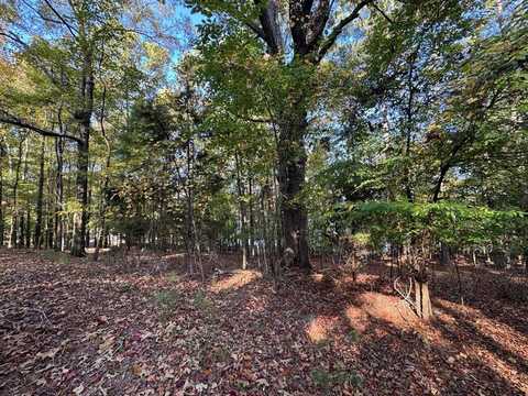 Lot 77 PIEDMONT LAKE ROAD, PINE MOUNTAIN, GA 31822