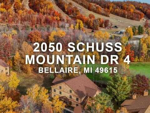 2050 W SCHUSS MOUNTAIN DRIVE, CUSTER TWP, MI 49615