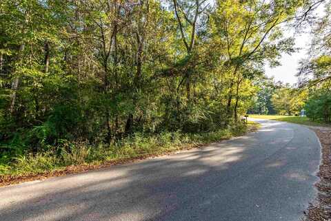 TBD Barnes Rd., Andrews, SC 29510