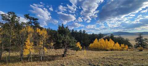 813 Yellowstone Road, Hartsel, CO 80449