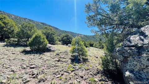 Tr 2 County Rd F, Antonito, CO 81120