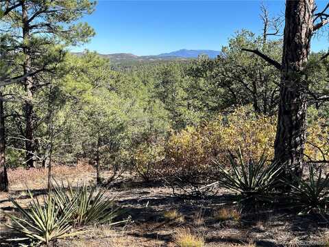 Rancho La Garita Lot 1147, Weston, CO 81091