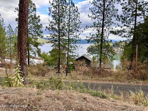 21503 S Cave Bay Rd, Worley, ID 83876