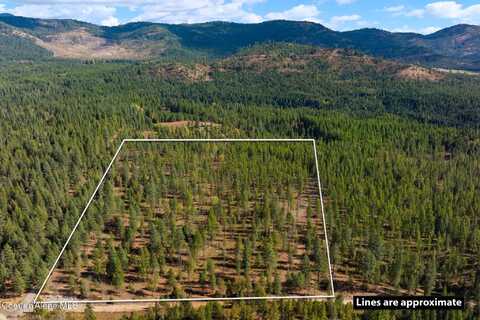 Lot 1 Gunsmoke Lane, Priest River, ID 83856