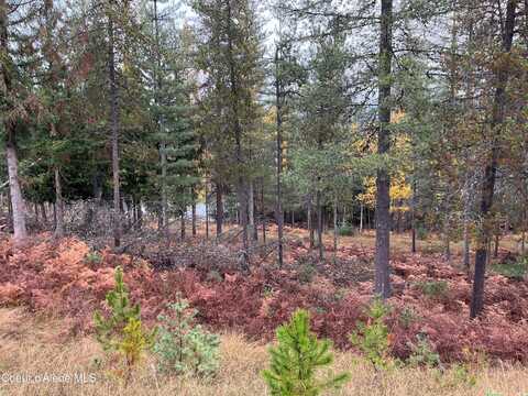 104 Blazing Saddle, Pinehurst, ID 83850