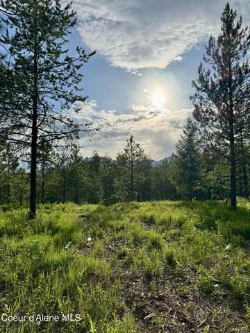 Nka Lot 2 Block 1 Aubrey Estates, Rathdrum, ID 83858