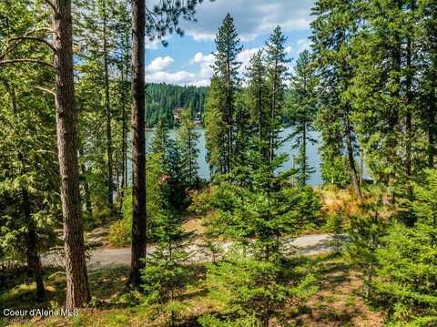 Nna Rollins Beach Loop, Hayden, ID 83835