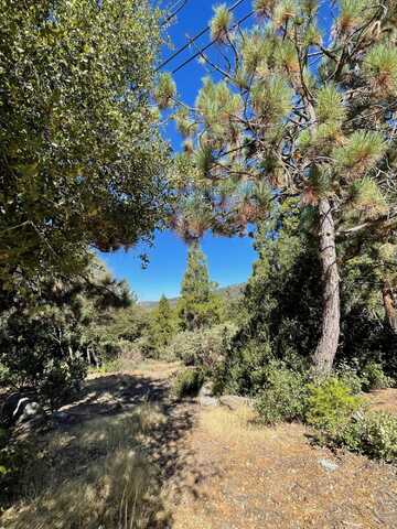 0 Double View Drive, Idyllwild, CA 92549