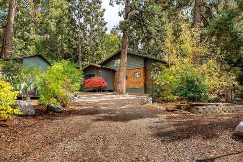 52603 Laurel Trail, Idyllwild, CA 92549