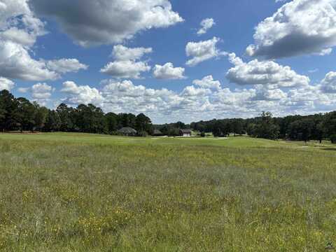 Lot 16 Camden Way, Hawkinsville, GA 31036