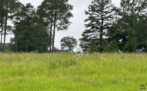 Lot 14 Camden Way, Hawkinsville, GA 31036