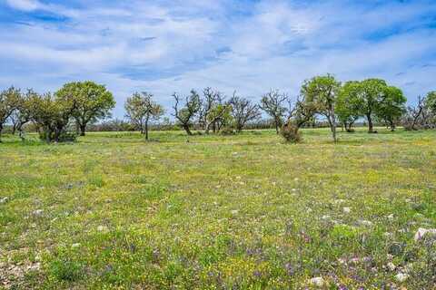 Lot 18 Goose Landing Way, Harper, TX 78631