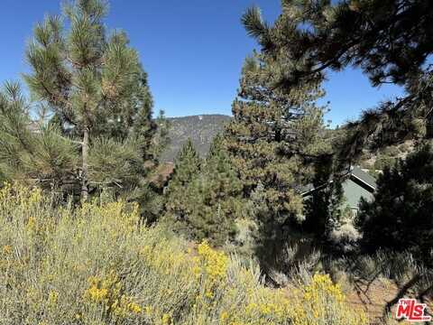 15113 Chestnut Dr, Pine Mountain Club, CA 93222